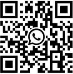 WhatsApp Image 2024-09-06 at 15.54.58_33a56ed5